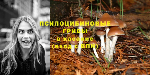 МДМА Богданович