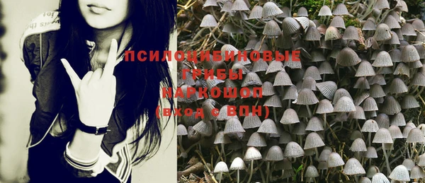 МДМА Богданович