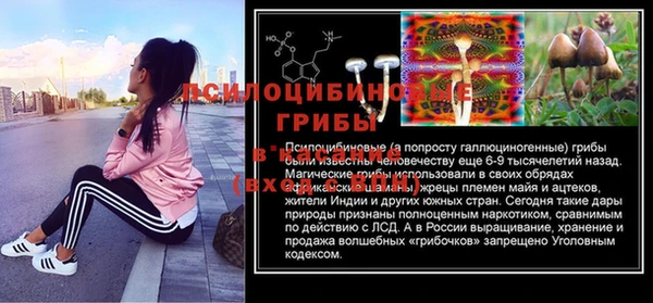 mix Богородицк