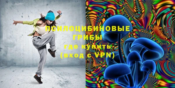 mix Богородицк