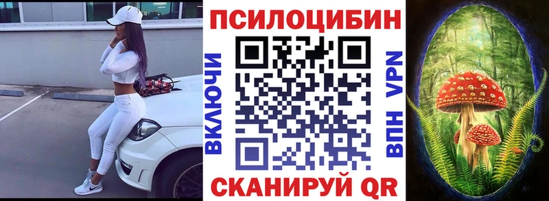 Галлюциногенные грибы Psilocybine cubensis  наркошоп  ссылка на мегу зеркало  Сургут 